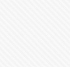 synthetische houten borstel deluxe 20 cm zacht nieuw